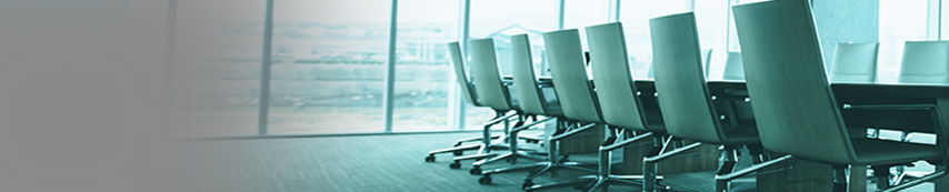board-of-directors